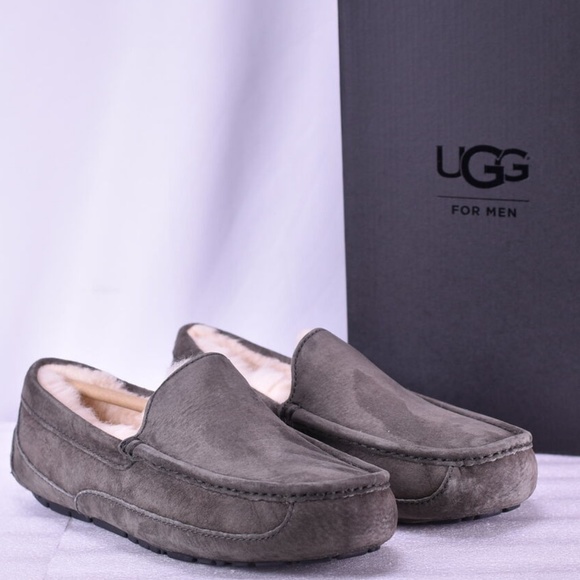 UGG | Shoes | Mens Ugg Ascot Charcoal 